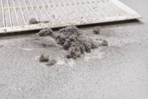 HVAC Maintenance and Cleaning in NM