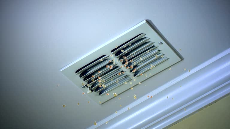 Best Air Duct Cleaning Near Me  in Flora Vista, NM