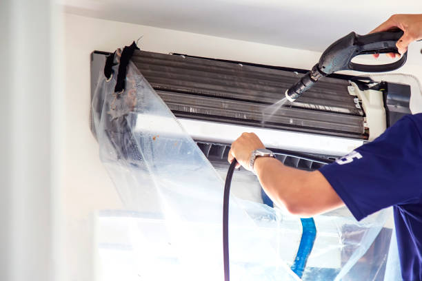 Best Duct Cleaning Specialists  in Flora Vista, NM