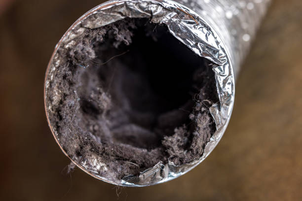 Best Air Duct Inspection  in Flora Vista, NM